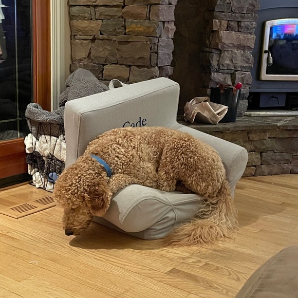 Meet your Posher, Carissa - Picture 1 of 1